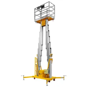 подъемник двухмачтовый smartlift gtwy 8-200s (t) (220в; 200 кг; 8 м)